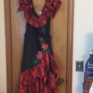 Bundle wig/Spanish dancer costume size Large.